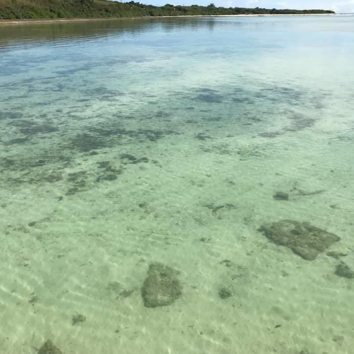 バリアフリー旅行
