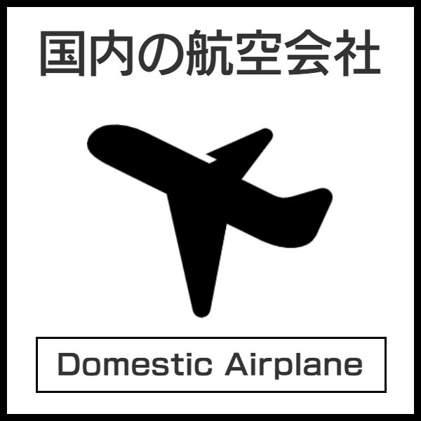 国内航空会社