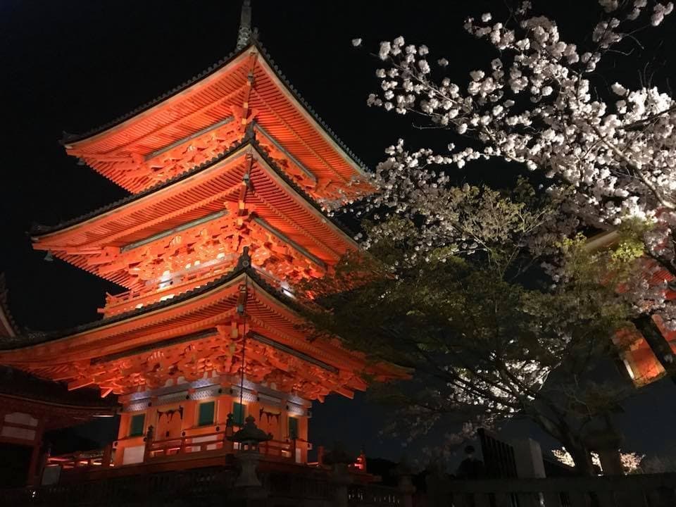 都内＆鎌倉のバリアフリー対応