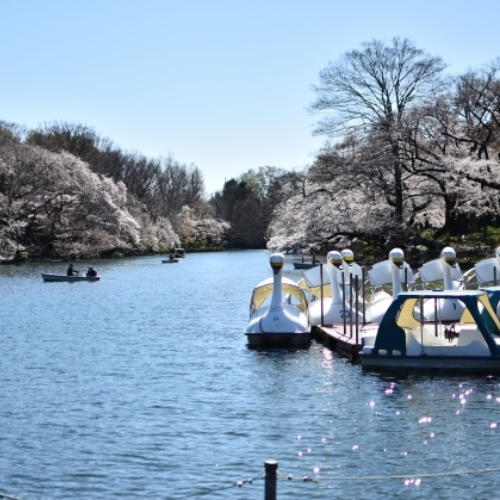 東京都23区以外１