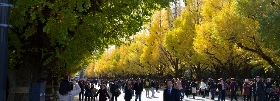 千駄ヶ谷信濃町１