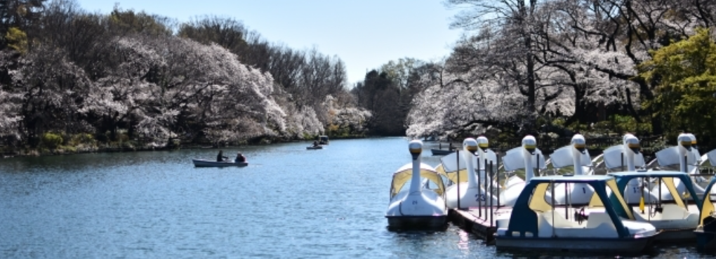 東京都23区以外２