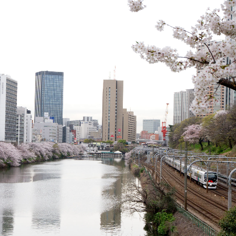 飯田橋市ケ谷２