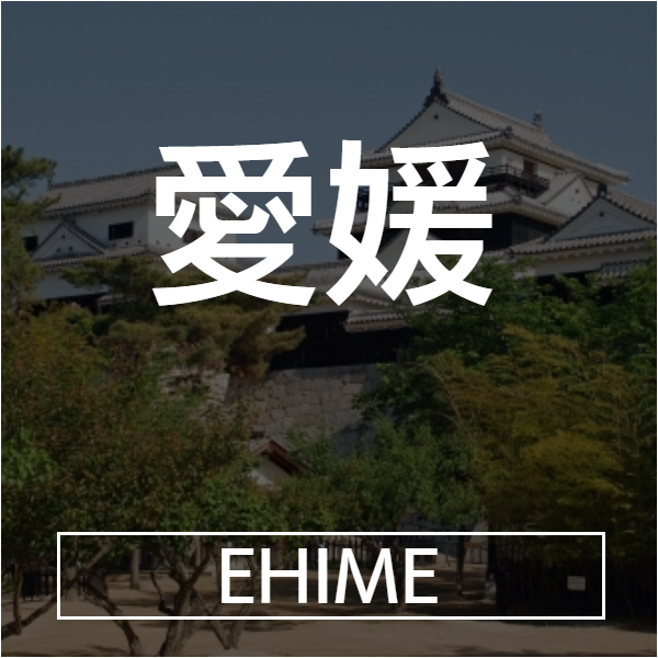 愛媛