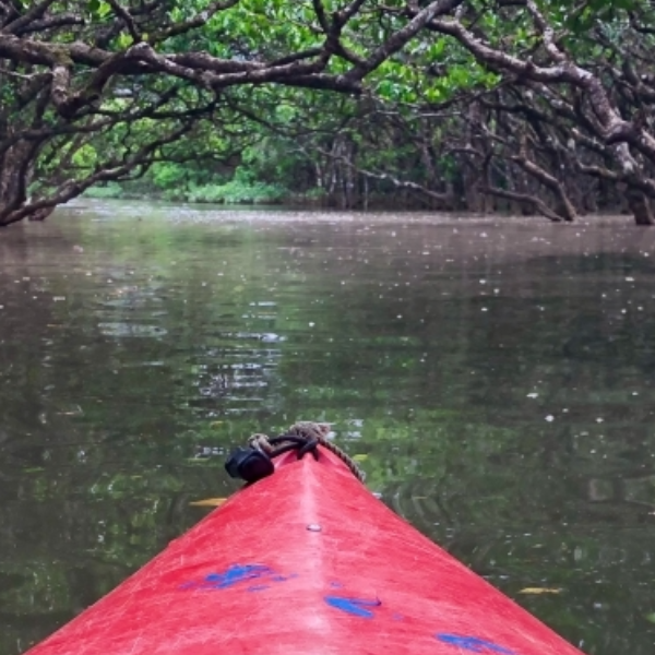 鹿児島県奄美大島