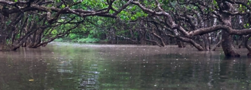 鹿児島県奄美大島２