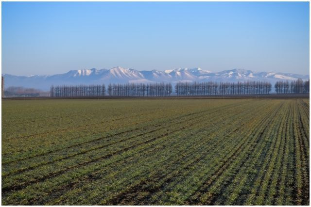 北海道十勝平野