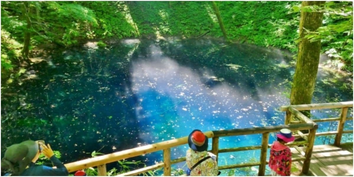 青森県白神山地