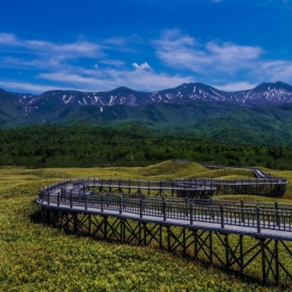 サブトップの写真