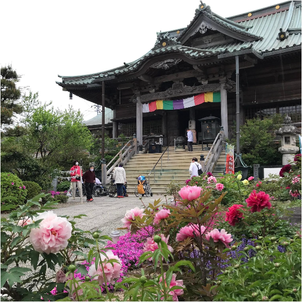 四国お遍路徳島