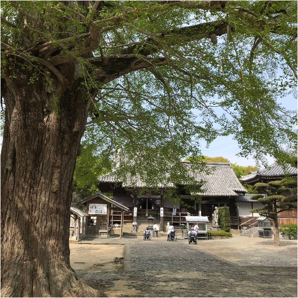 四国お遍路徳島