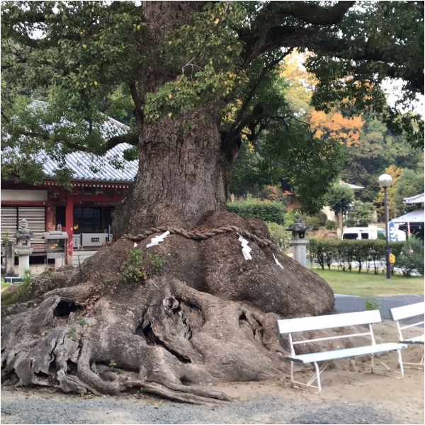 四国お遍路徳島