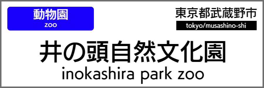 バリアフリー旅行情報