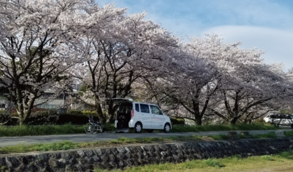 タクシーのバリアフリー化