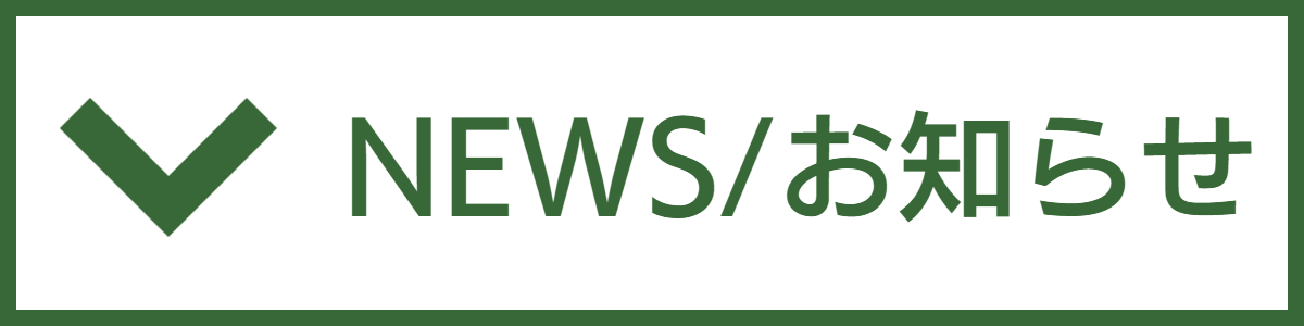 介護旅行とトラベルサポーター