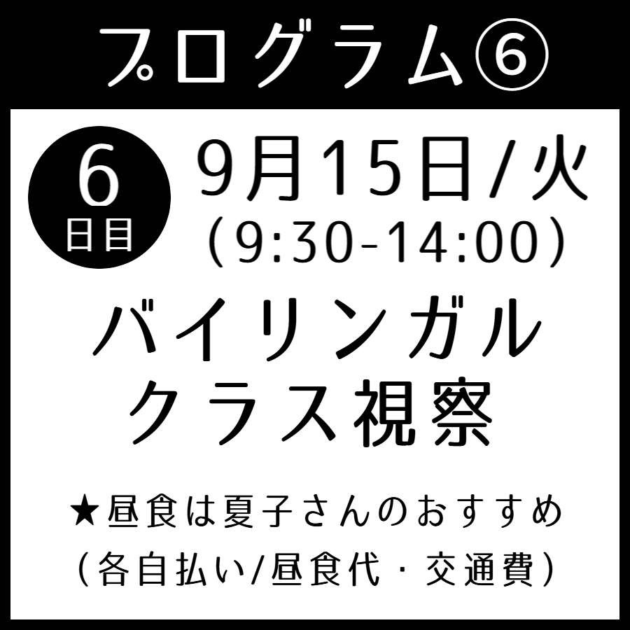 ルシル塚本夏子さんと巡るフランス・トゥールーズ