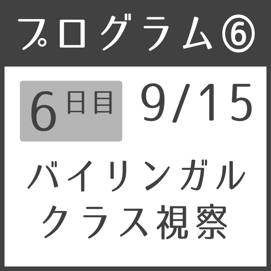 ルシル塚本夏子さんと巡るフランス・トゥールーズ