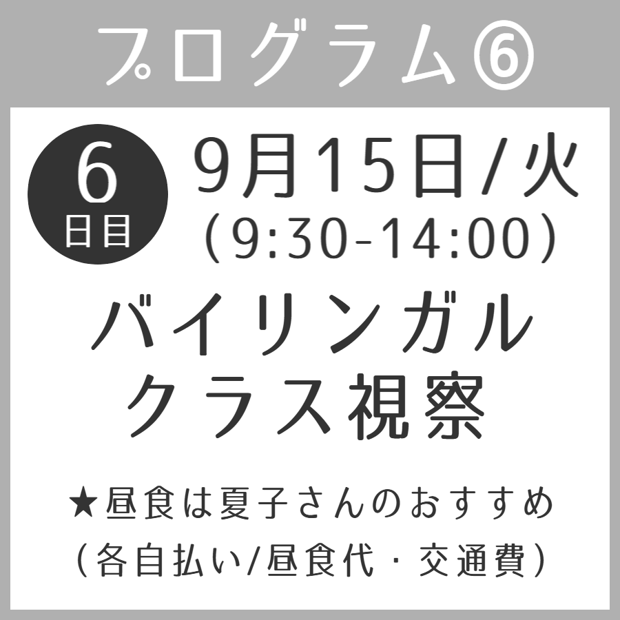 ルシル塚本夏子さんと巡るフランス・トゥールーズ