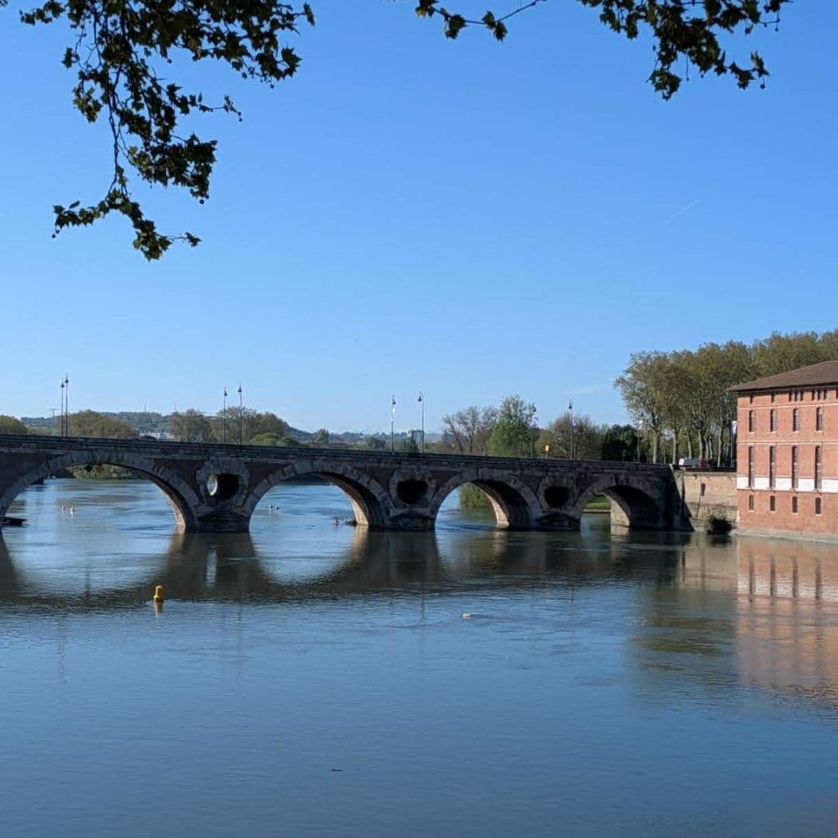 ルシル塚本夏子さんと巡るフランス・トゥールーズ｜ルシル塚本夏子さん撮影