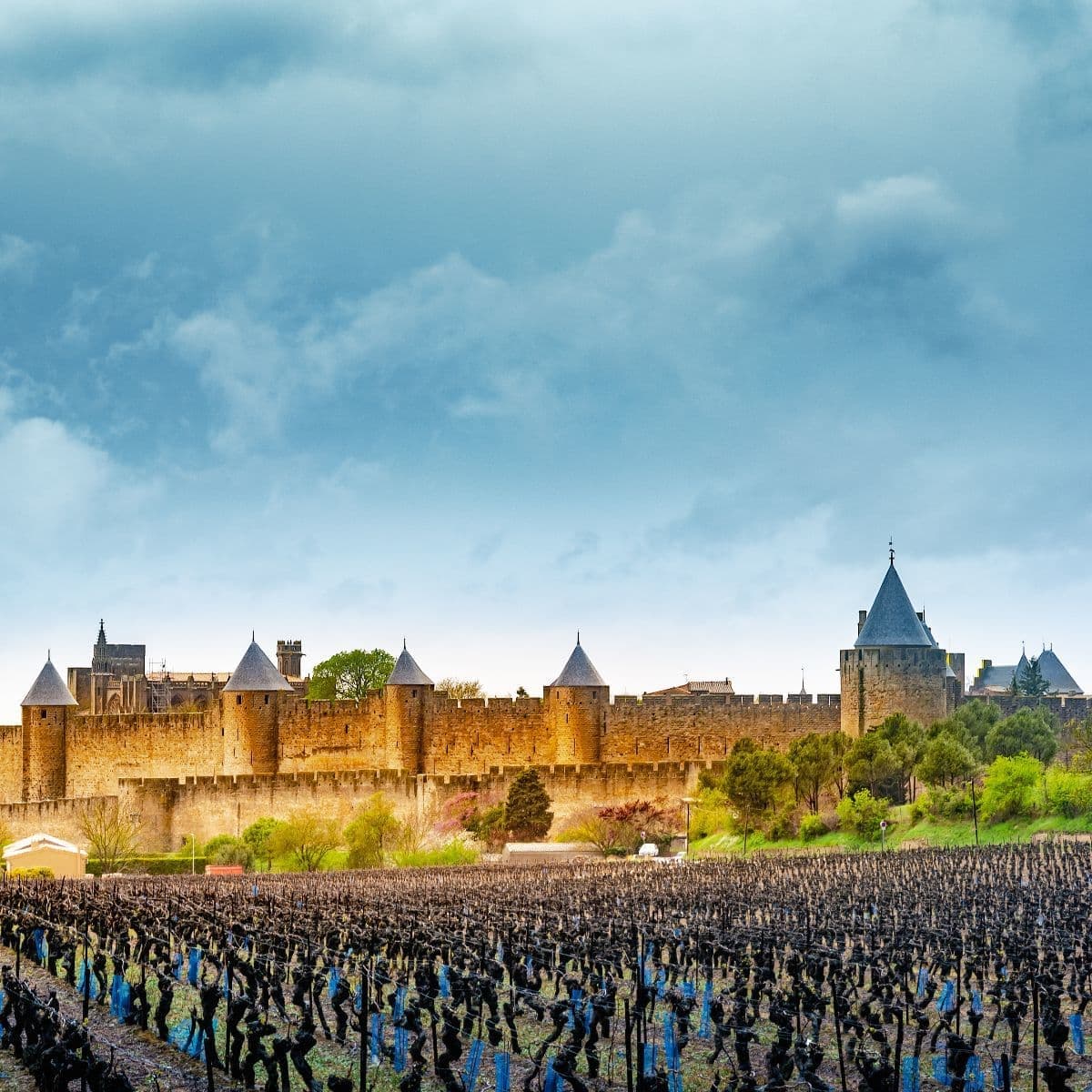 ルシル塚本夏子さんと巡るフランス・トゥールーズ