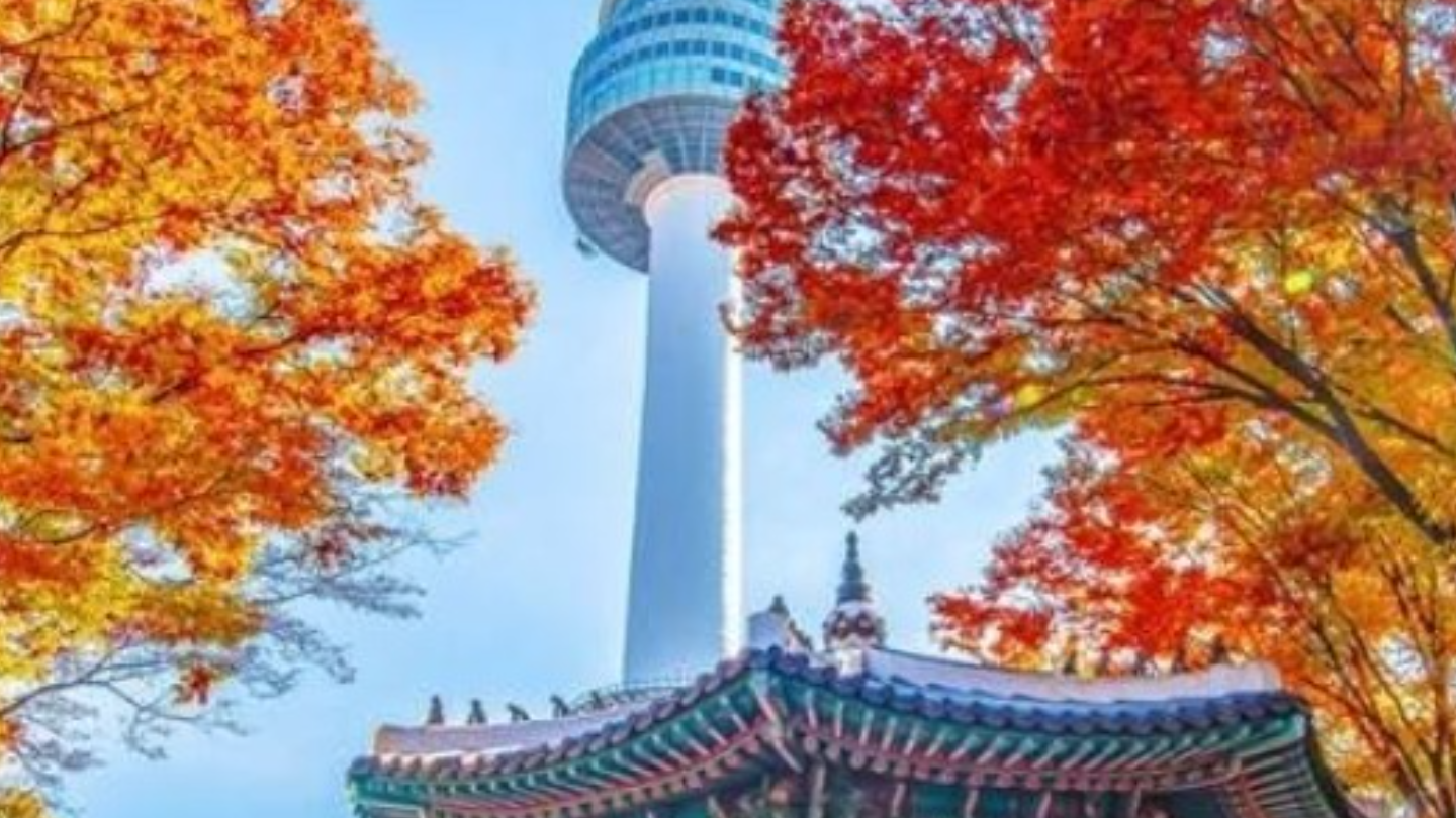 バリアフリー」旅行アメリカ西海岸