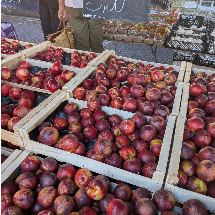 バリアフリー旅行
