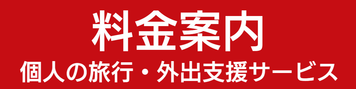 介護旅行とトラベルサポーター